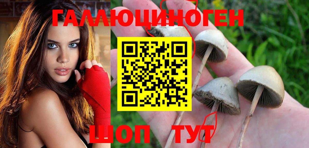 Галлюциногенные грибы прущие грибы Можайск