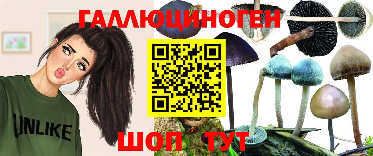 Псилоцибиновые грибы Cubensis  Вход с VPN  Псилоцибиновые грибы Psilocybe  Можайск 